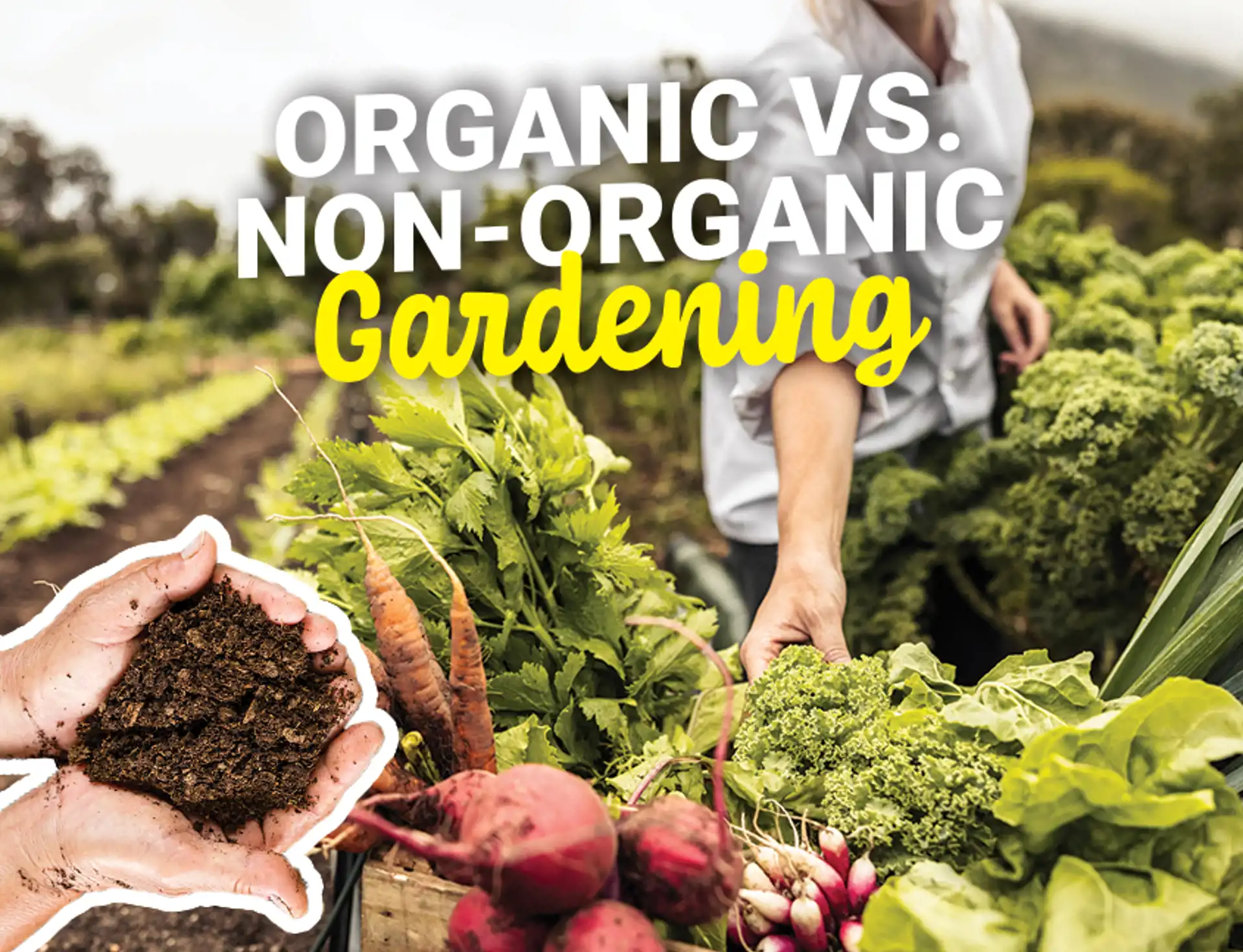 organic-vs-non-organic-unearthing-the-core-of-gardening-viva-fresh