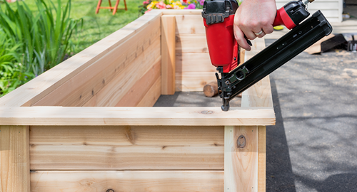 Closeup of a man using a power nail gun to build a wooden raised garden bed